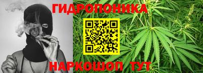 марихуана Северобайкальск