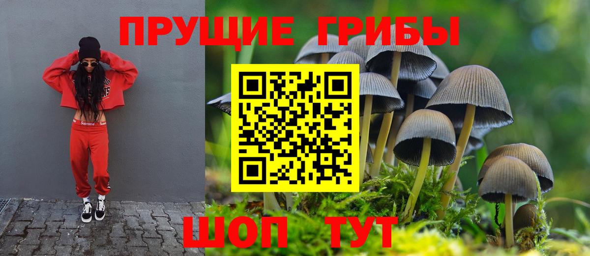 Галлюциногенные грибы мицелий Анжеро-Судженск